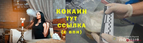 дживик Бородино
