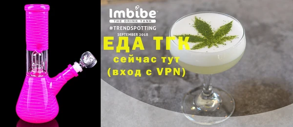 дживик Бородино
