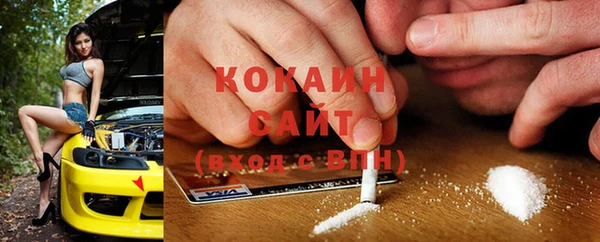 дживик Бородино