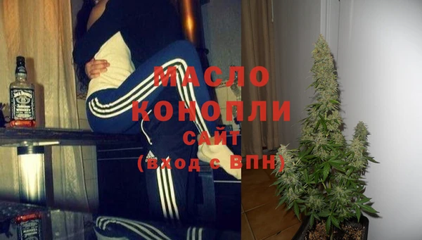 дживик Бородино