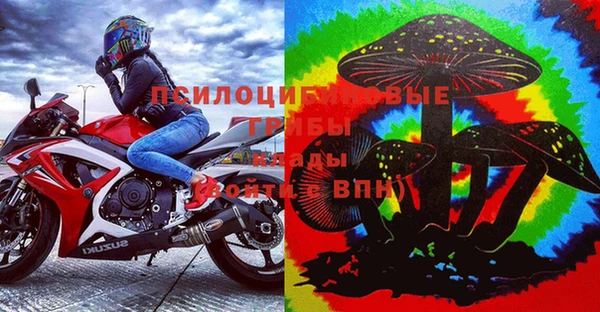 apvp Бронницы