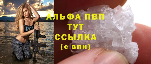 дживик Бородино