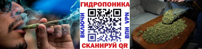 Шишки марихуана OG Kush  Разумное 